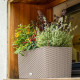 Умный вазон (кашпо и горшок) Lechuza Balconera Cottage 50 Бежевый для цветов и растений