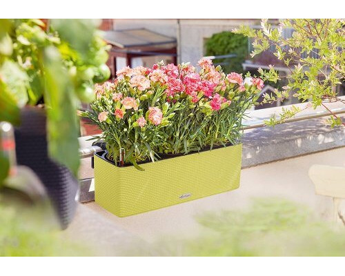 Умный вазон (кашпо и горшок) Lechuza Cube Color Triple Зеленый для цветов и растений