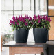 Умный вазон (кашпо и горшок) Lechuza Classico Color 35 Серый для цветов и растений