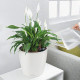 Умный вазон (кашпо и горшок) Lechuza Classico Color 35 Белый для цветов и растений