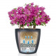 Умный вазон (кашпо и горшок) Lechuza Classico Color 28 Розовый для цветов и растений