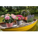 Умный вазон (кашпо и горшок) Lechuza Classico Color 21 Розовый для цветов и растений