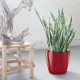 Умный вазон (кашпо и горшок) Lechuza Classico LS 50 Красный для цветов и растений