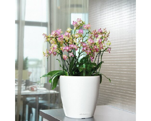 Умный вазон (кашпо и горшок) Lechuza Classico LS 50 Белый для цветов и растений