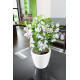 Умный вазон (кашпо и горшок) Lechuza Classico LS 43 Белый для цветов и растений