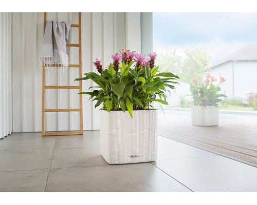 Умный вазон (кашпо и горшок) Lechuza Cube Ls Color 35 Белый для цветов и растений