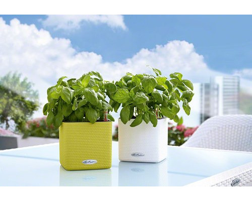 Умный вазон (кашпо и горшок) Lechuza Cube Color 14 Зеленый для цветов и растений