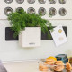 Умный вазон (кашпо и горшок) Green Wall Home Kit Color Белый для цветов и растений