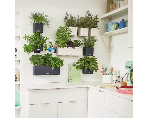 Умный вазон (кашпо и горшок) Green Wall Home Kit Color Белый для цветов и растений