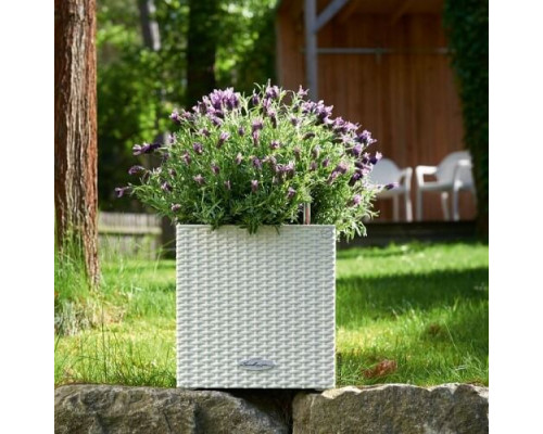 Умный вазон (кашпо и горшок) Lechuza Cube Cottage 40 Светло-серый для цветов и растений