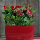 Умный вазон (кашпо и горшок) Lechuza Delta 20 Красный для цветов и растений