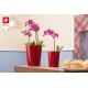 Умный вазон (кашпо и горшок) Lechuza Mini-Deltini Красный для цветов и растений
