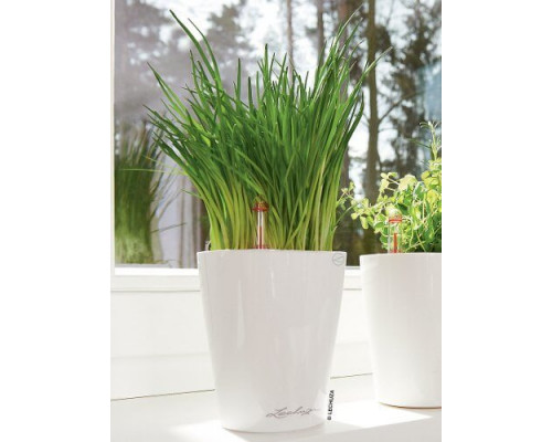 Умный вазон (кашпо и горшок) Lechuza Mini-Deltini Белый для цветов и растений