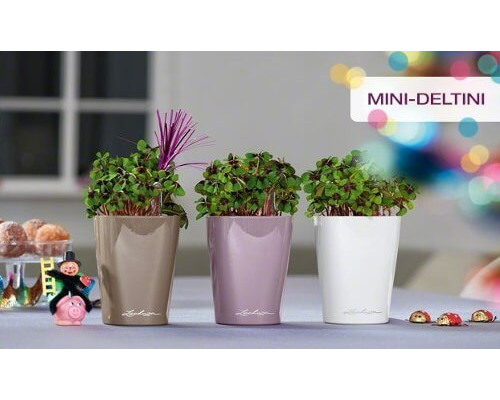 Умный вазон (кашпо и горшок) Lechuza Mini-Deltini Фиалковый для цветов и растений