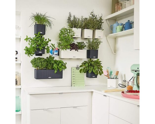 Умный вазон (кашпо и горшок) Green Wall Home Kit Glossy Белый для цветов и растений