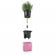 Умный вазон (кашпо и горшок) Lechuza Cube Glossy Kiss 14 Розовый для цветов и растений