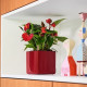 Умный вазон (кашпо и горшок) Lechuza Cube Glossy 14 Красный для цветов и растений