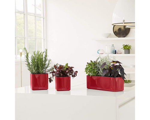 Умный вазон (кашпо и горшок) Lechuza Glossy Triple Красный для цветов и растений