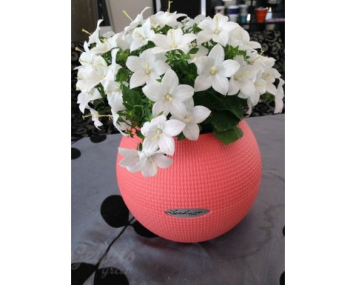 Умный вазон (кашпо и горшок) Lechuza Puro Color 20 Фламинго для цветов и растений