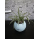 Умный вазон (кашпо и горшок) Lechuza Puro Color 20 Светло-голубой для цветов и растений