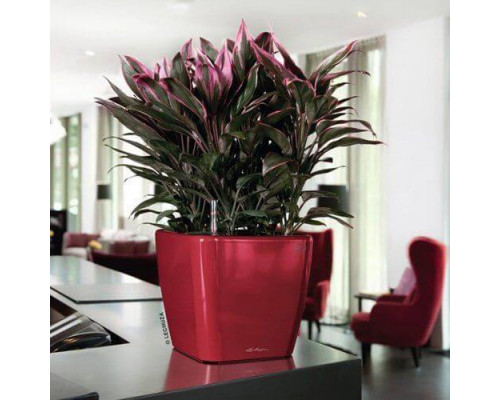Умный вазон (кашпо и горшок) Lechuza Quadro LS 50 Красный для цветов и растений