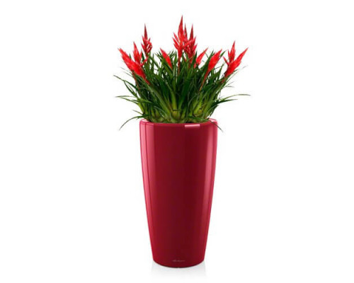 Умный вазон (кашпо и горшок) Lechuza Rondo 32 Красный для цветов и растений