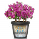 Умный вазон (кашпо и горшок) Lechuza Rustico Color 35 Графитовый черный для цветов и растений