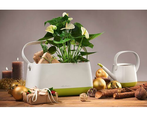 Умный вазон (кашпо и горшок) Корзинка Lechuza Yula Бело-фисташковый для цветов и растений