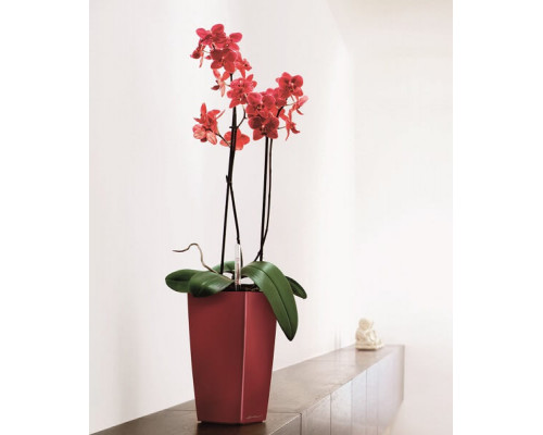 Умный вазон (кашпо и горшок) Lechuza Maxi Cubi Красный для цветов и растений