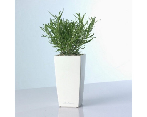 Умный вазон (кашпо и горшок) Lechuza Mini Cubi Белый для цветов и растений