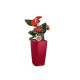 Умный вазон (кашпо и горшок) Lechuza Mini Cubi Красный для цветов и растений